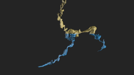 Grdinova&nbsp;simulacija vode v 3D načrtu Čaganke.